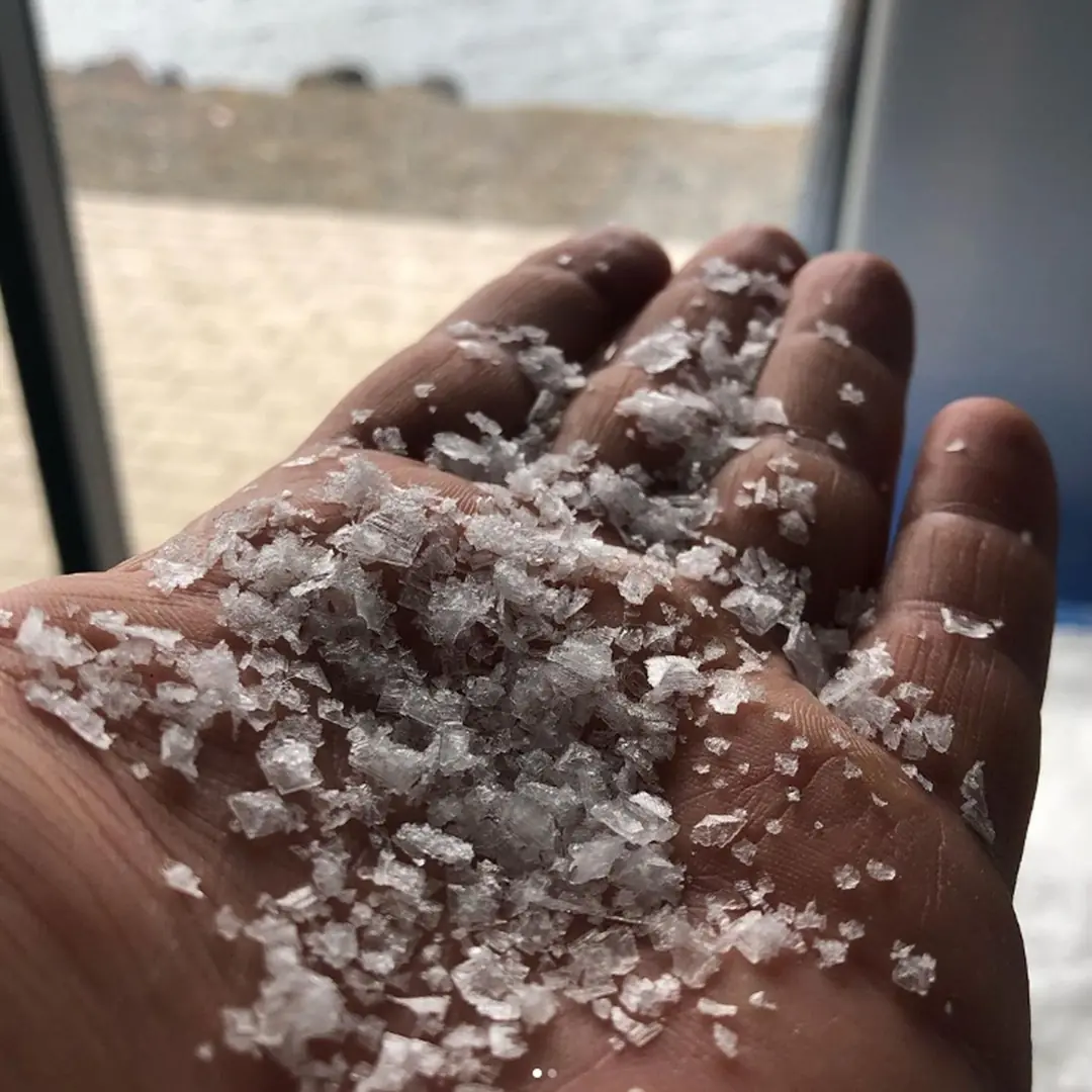 Danie z Norður Salt 15